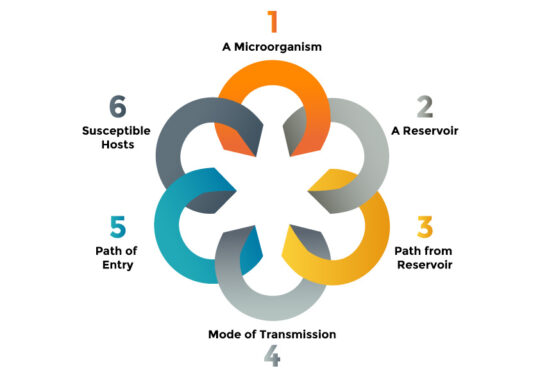 Cleaning Masterclass | The 6 Links in the Chain of Infection: How ...